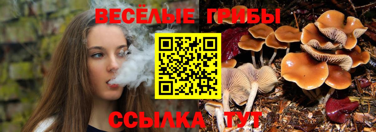 Балтийск  Галлюциногенные грибы ЛСД  Вход с VPN 