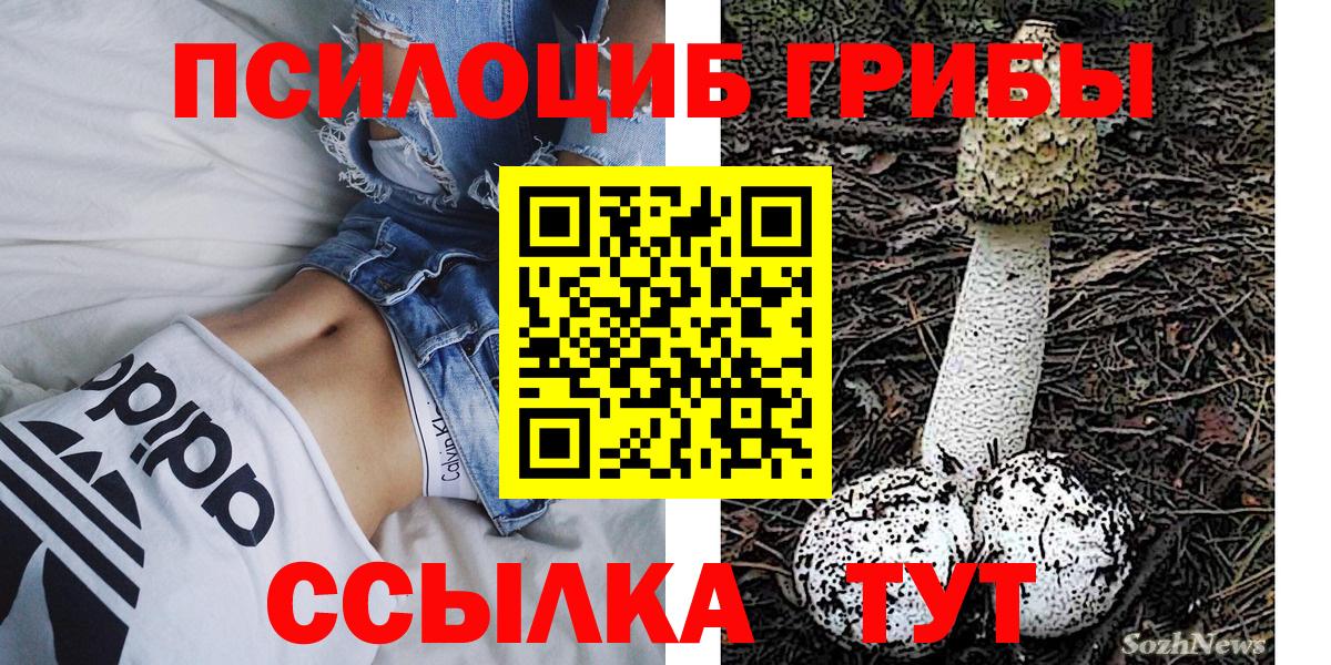 Галлюциногенные грибы Magic Shrooms Балтийск